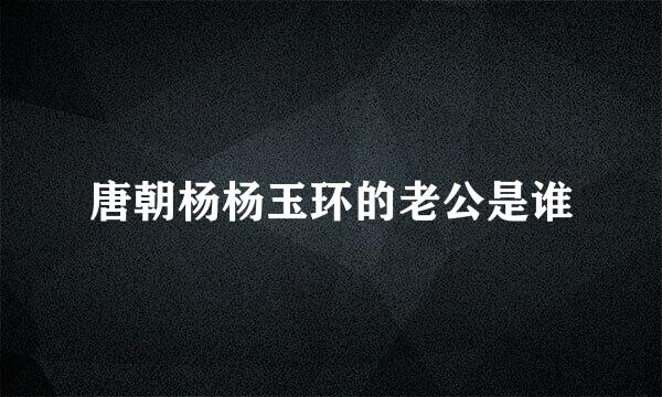 唐朝杨杨玉环的老公是谁