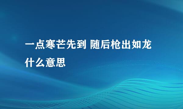 一点寒芒先到 随后枪出如龙什么意思