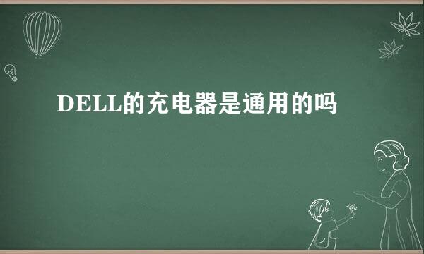 DELL的充电器是通用的吗