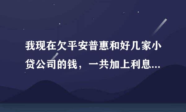 我现在欠平安普惠和好几家小贷公司的钱，一共加上利息40-50万，现在还不上了，还有高利贷的没还那。