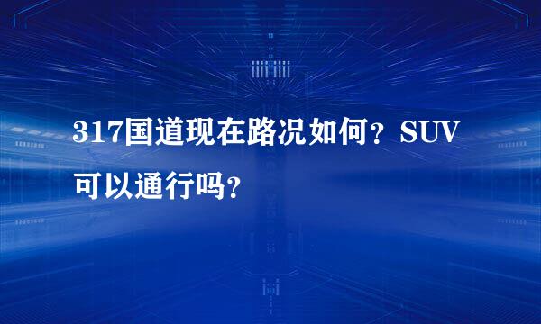 317国道现在路况如何？SUV可以通行吗？