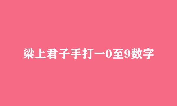 梁上君子手打一0至9数字