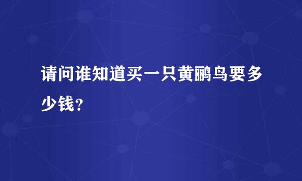 请问谁知道买一只黄鹂鸟要多少钱？