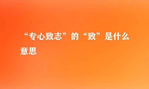 “专心致志”的“致”是什么意思