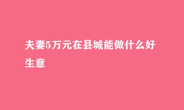 夫妻5万元在县城能做什么好生意