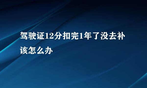 驾驶证12分扣完1年了没去补该怎么办