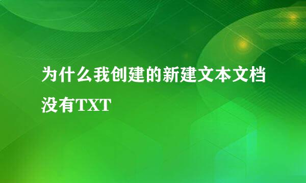 为什么我创建的新建文本文档没有TXT