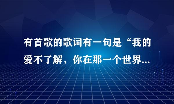 有首歌的歌词有一句是“我的爱不了解，你在那一个世界”是什么歌?