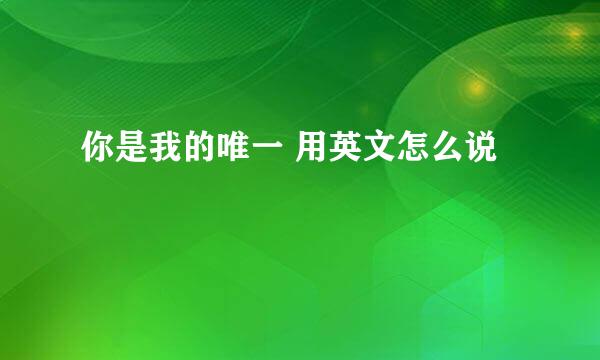 你是我的唯一 用英文怎么说