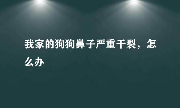 我家的狗狗鼻子严重干裂，怎么办