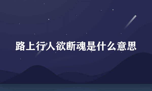 路上行人欲断魂是什么意思