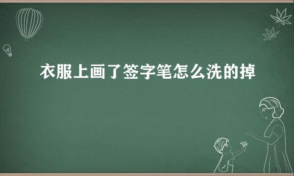 衣服上画了签字笔怎么洗的掉