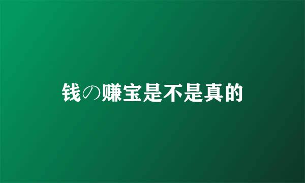 钱の赚宝是不是真的