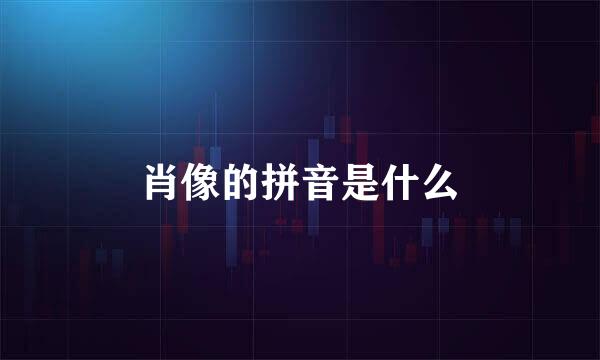 肖像的拼音是什么