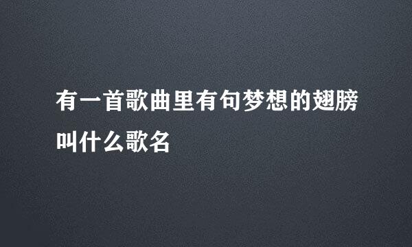 有一首歌曲里有句梦想的翅膀叫什么歌名