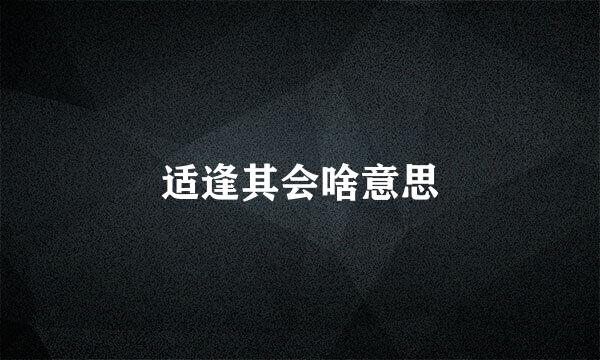 适逢其会啥意思