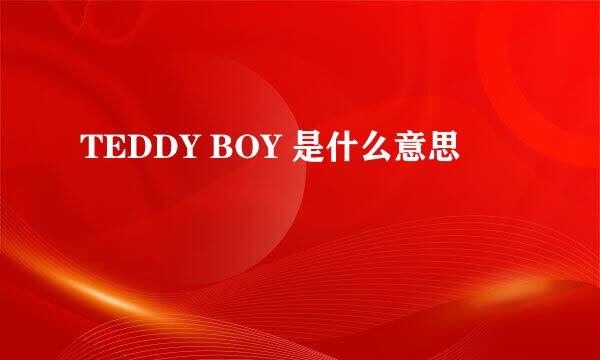 TEDDY BOY 是什么意思