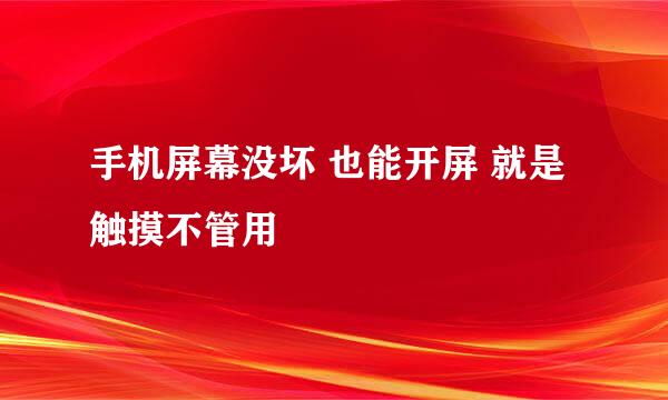 手机屏幕没坏 也能开屏 就是触摸不管用