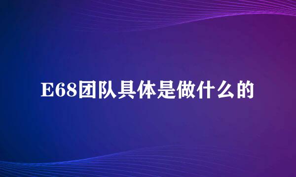 E68团队具体是做什么的