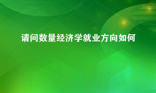 请问数量经济学就业方向如何