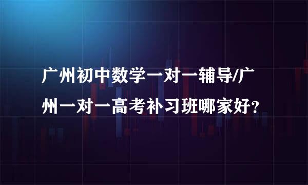 广州初中数学一对一辅导/广州一对一高考补习班哪家好？