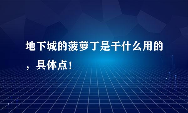 地下城的菠萝丁是干什么用的，具体点！