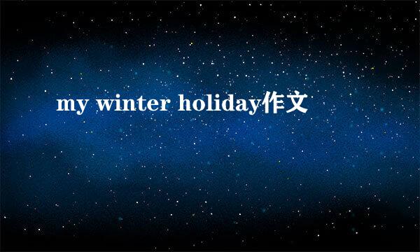 my winter holiday作文