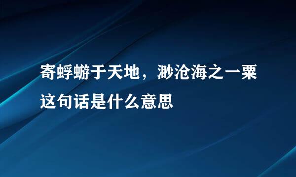 寄蜉蝣于天地，渺沧海之一粟这句话是什么意思