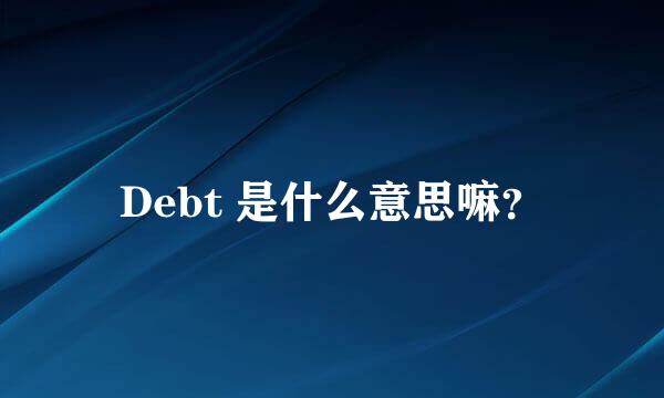 Debt 是什么意思嘛？