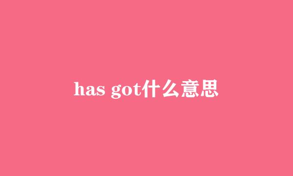 has got什么意思