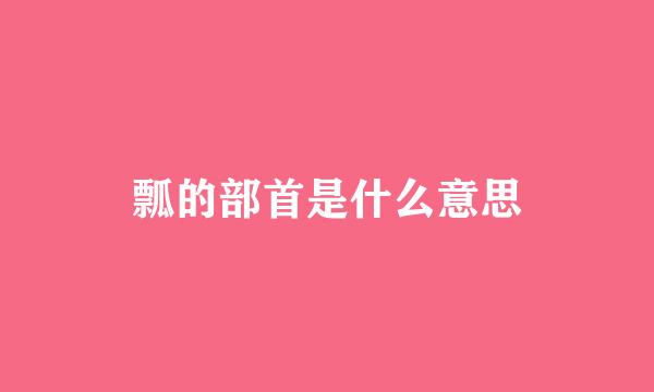 瓢的部首是什么意思