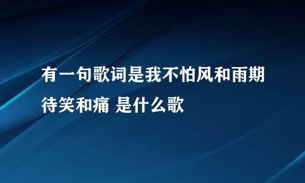 有一句歌词是我不怕风和雨期待笑和痛 是什么歌