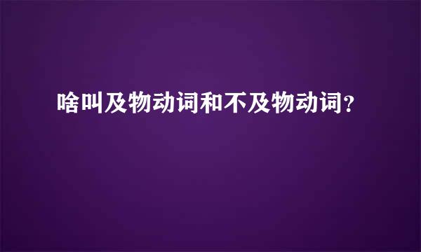 啥叫及物动词和不及物动词？