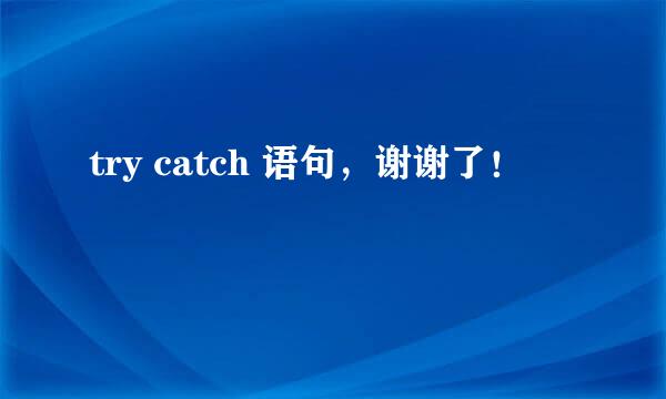 try catch 语句，谢谢了！