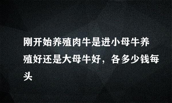 刚开始养殖肉牛是进小母牛养殖好还是大母牛好，各多少钱每头