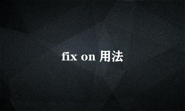 fix on 用法