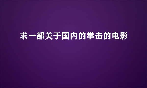 求一部关于国内的拳击的电影