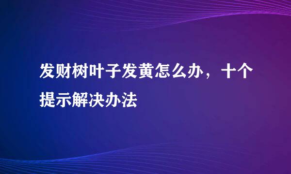 发财树叶子发黄怎么办，十个提示解决办法