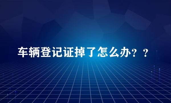 车辆登记证掉了怎么办？？