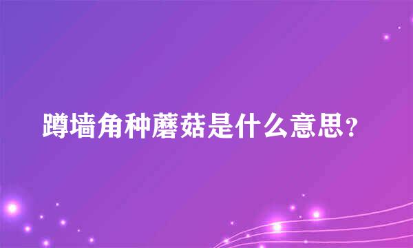 蹲墙角种蘑菇是什么意思？