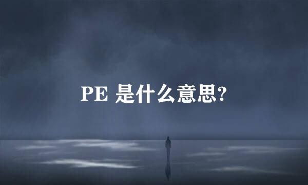 PE 是什么意思?