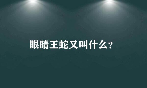 眼睛王蛇又叫什么？