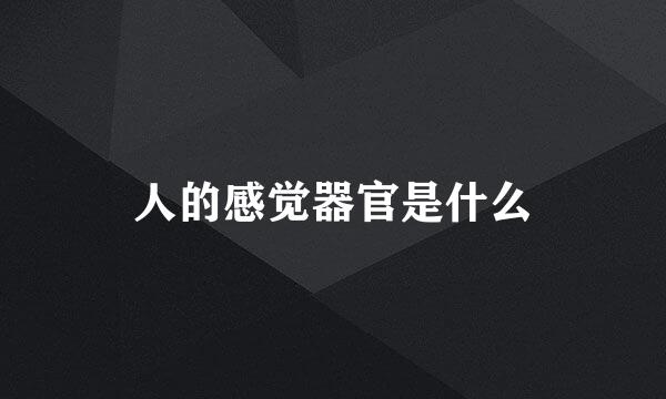 人的感觉器官是什么