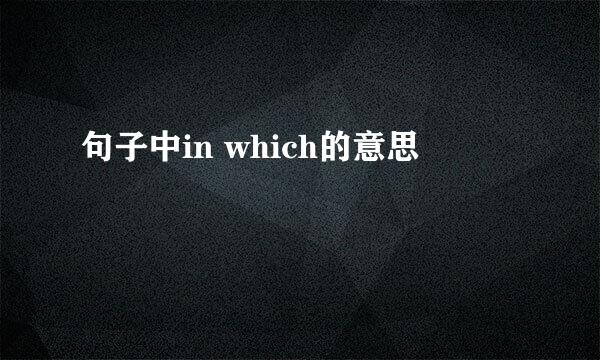 句子中in which的意思