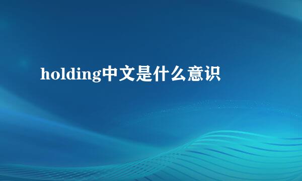 holding中文是什么意识