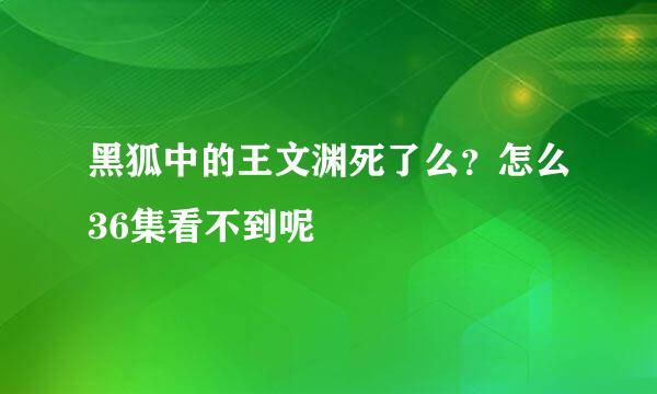 黑狐中的王文渊死了么？怎么36集看不到呢