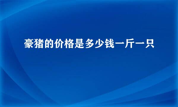 豪猪的价格是多少钱一斤一只