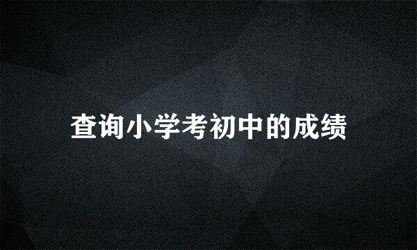 查询小学考初中的成绩