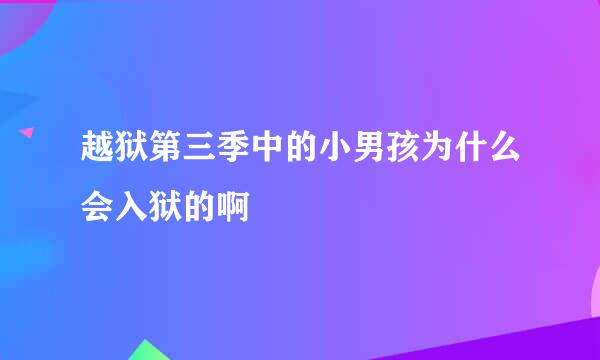 越狱第三季中的小男孩为什么会入狱的啊