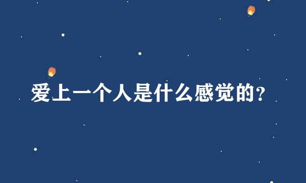 爱上一个人是什么感觉的？